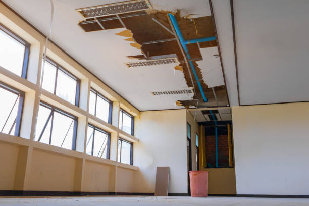 Best Water damage restoration near me  in Arlington Heights, PA