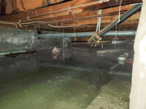 Best 24-hour water damage restoration  in Arlington Heights, PA