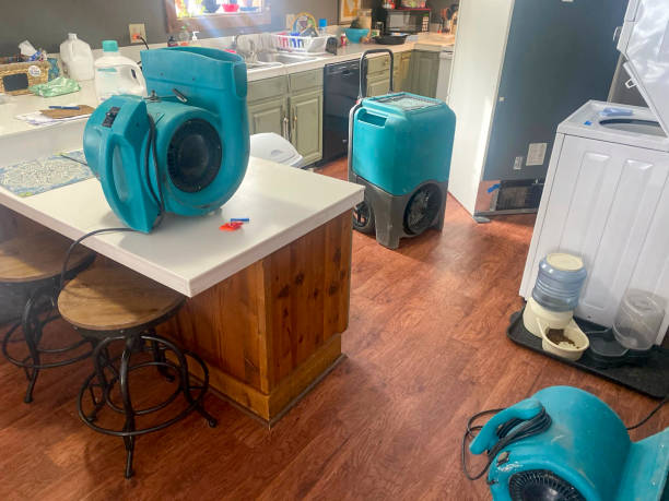 Best Flood damage cleanup  in Arlington Heights, PA