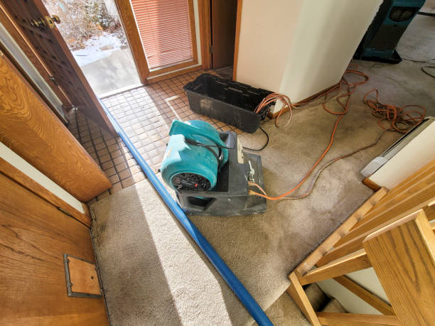 Best 24-hour water damage restoration  in Arlington Heights, PA