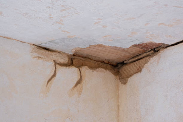 Best Sewage cleanup and water damage restoration  in Arlington Heights, PA