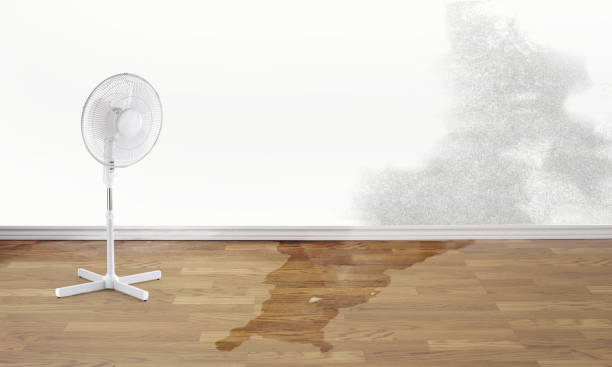 Best Ceiling water damage repair  in Arlington Heights, PA