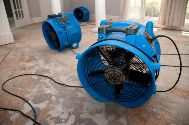 Best Water damage restoration cost  in Arlington Heights, PA