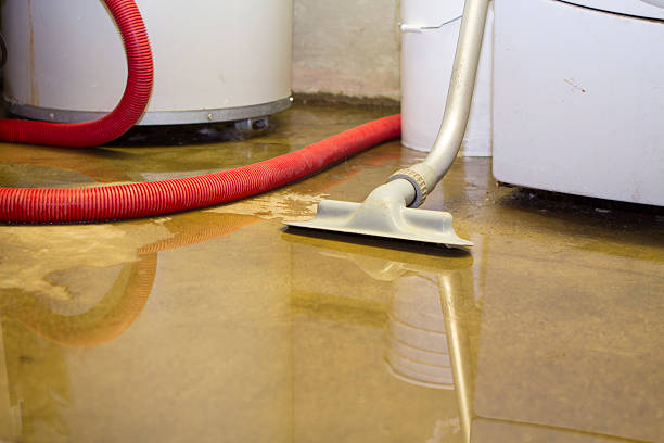Best Basement water damage restoration  in Arlington Heights, PA