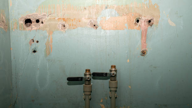 Water damage restoration mold remediation in Arlington Heights, PA
