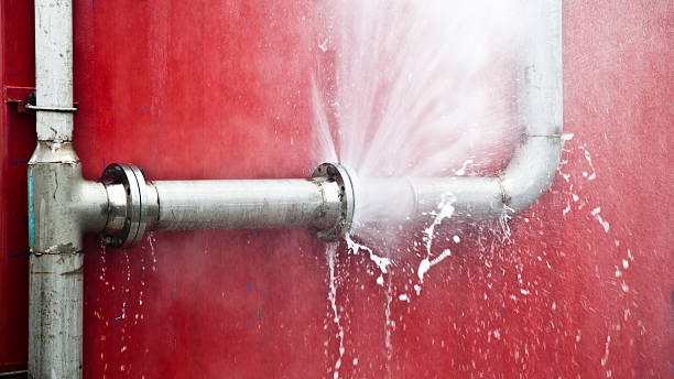Best Local water damage restoration  in Arlington Heights, PA