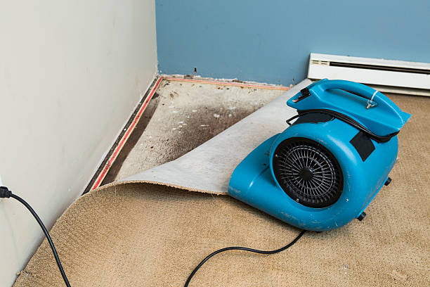 Best Basement water damage restoration  in Arlington Heights, PA